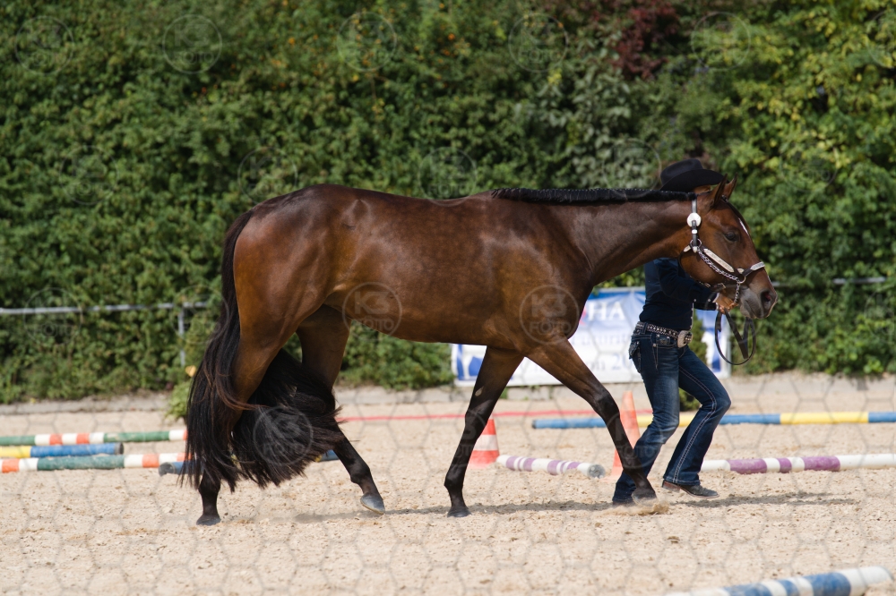 s_batch_A9_00054.jpg